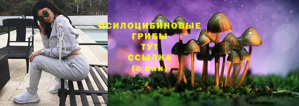 Альфа ПВП Баксан