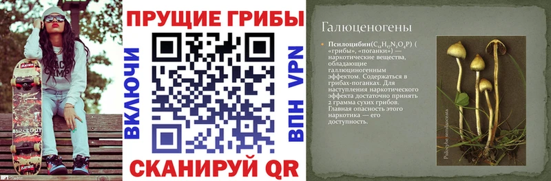 Псилоцибиновые грибы мицелий Луховицы