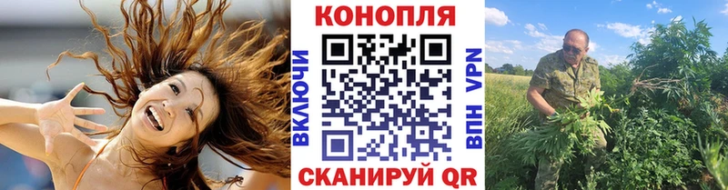Бошки марихуана индика  где можно купить наркотик  Луховицы 